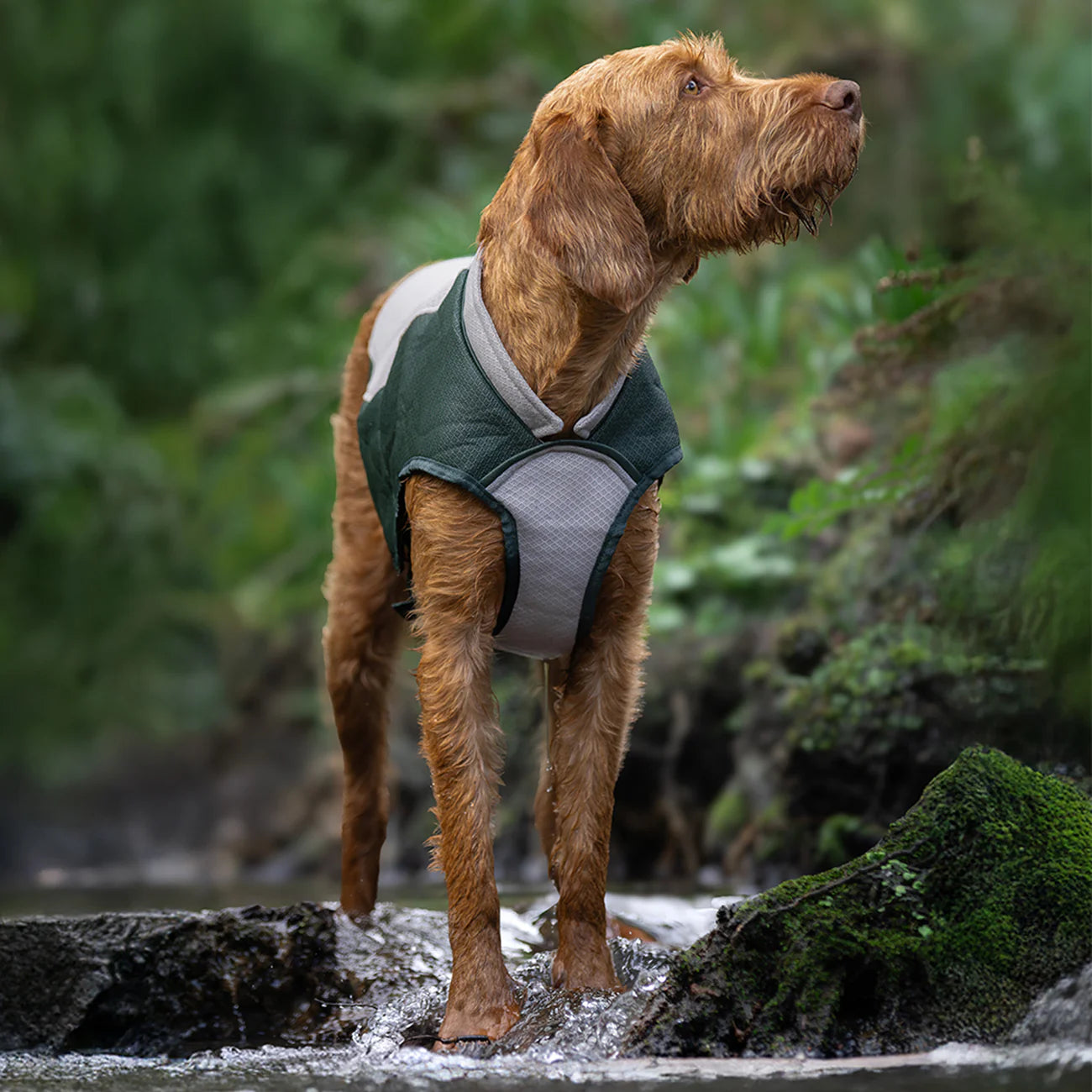 Ruff and Tumble koelvest